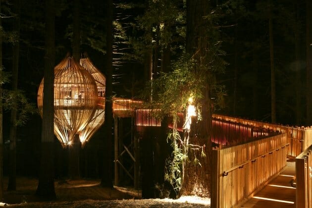 Yellow Treehouse Restaurant in New Zealand
