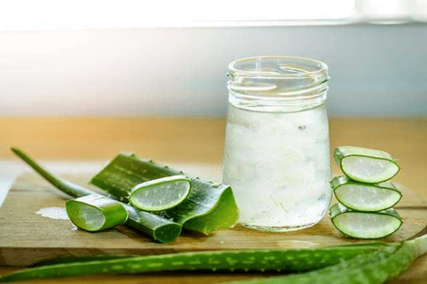 Aloe vera is best for the treatment of Hair Fall