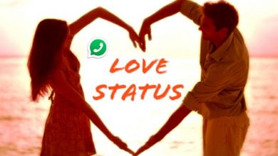 Love Status for Whatsapp